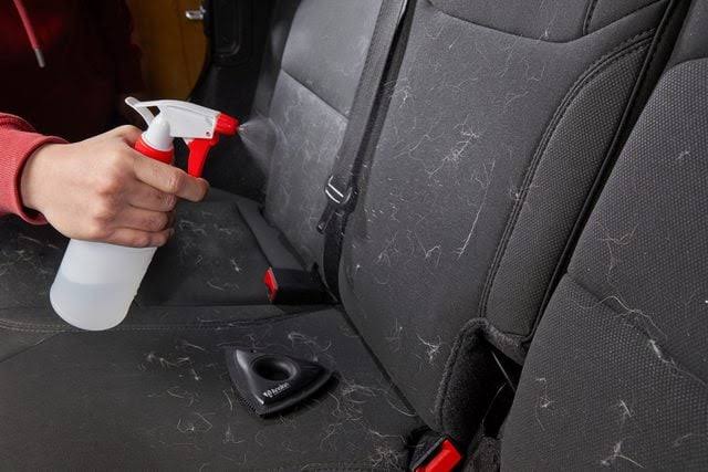 How to Stop Dog Hair from Sticking to Car Seats